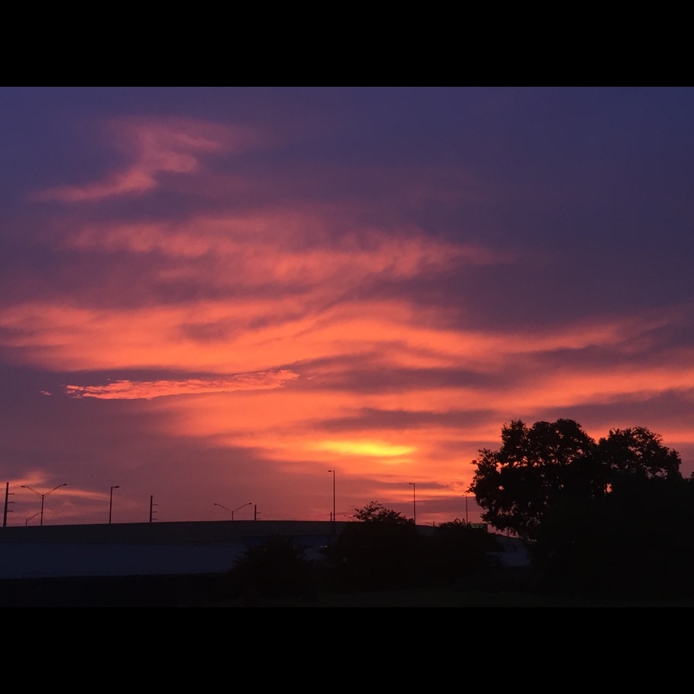 Meet your Posher, EChapman